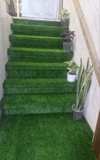 چمن برند آسیا جنس درجه یک