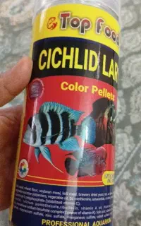 غذای ماهی گوشتخوار