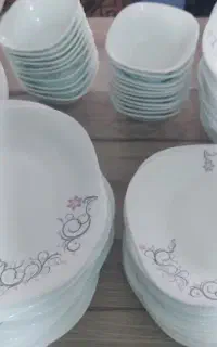ظروف پذیرایی
