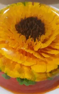 ژله و دسر خانگی مخصوص پذیرایی مجالس و مهمانی ها