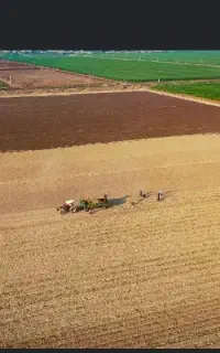 جویای کار در کشت صنعت کارون/امام
