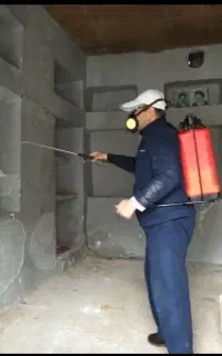 سم زدایی موریانه زدایی وسمپاشی ساس عقرب موش سوسک