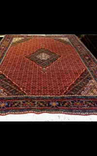 یک جفت ریزه ماهی اردبیل