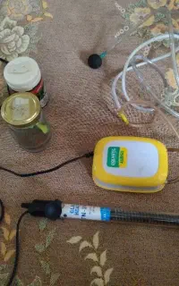 چند عدد وسیله آکواریوم