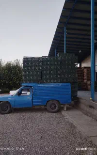 وانت بار سیب و سردخانه