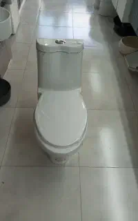 توالت فرنگی چینی کرد مدل طاووس بیده اکس ۳۰