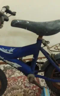 دوچرخه