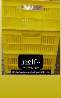 سبدحمال خرما
