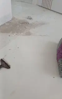 نظافت منزل خود را به ما بسپارید
