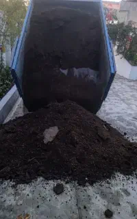 کار سمپاشی،قطع درخت،هرس آوردن ماسه وکود