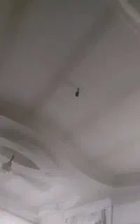 جوشکاری حرفه ایی ساختمان و سقف کاذب و پله و...
