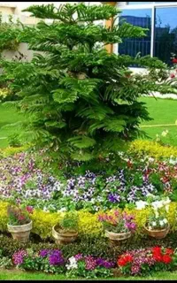 خدمات باغبانی