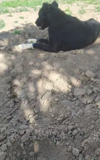 6 0000000000