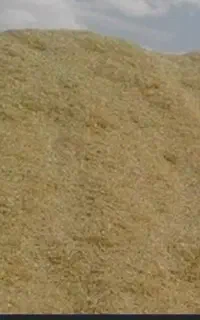 کاه گندم آبی بذر الوندقیمت ۱۴۰۰۰
