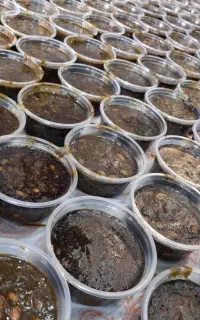 تهیه غذا خورشت ۹۹ت.  کیفیت با ضمانت