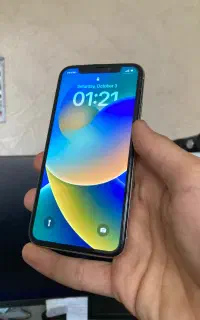 iPhone X