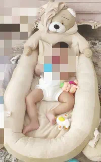 تشک گارددار خرسی