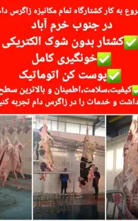 استخدام همکار خانم منشی شرکت