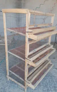 قفس بلدرچین
