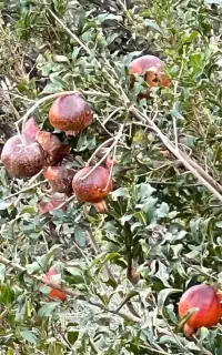 آموزش عکاسی - تصویربرداری - ادیت فیلم