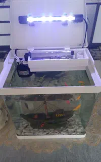 اکواریوم شرکتی دلسامدل k250سالم ونو