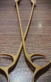 آموزش تخصصی سنتور با ده شعبه در سراسر اصفهان
