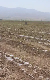 نیازمند کارگر ابیار