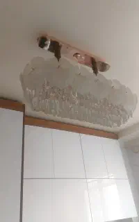 لوستر ولاینر