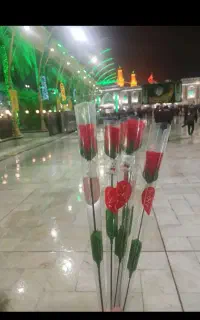 سفر نوروز زمینی هشت روز/ کربلا