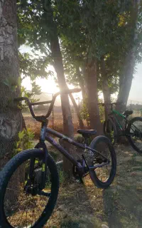 دوچرخه BMX حرفه ای