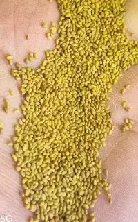 بذریونجه درجه یک