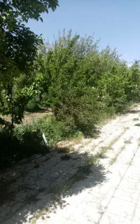 خونه باغ مبله بزنجان