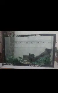 آکواریوم سالم
