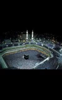 فیش حج