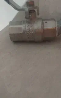 شیر یه ضرب.