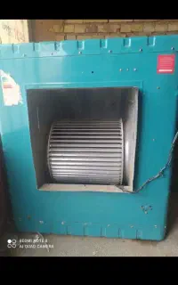 کولرابی 3500هزار