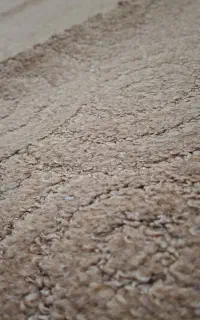 پالاز موکت