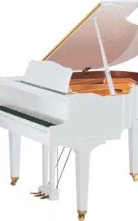 پیانو رویال (گراند آکوستیک) یاماها