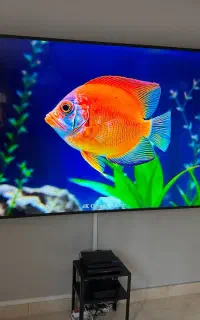 نصب آنتن و براکت TV