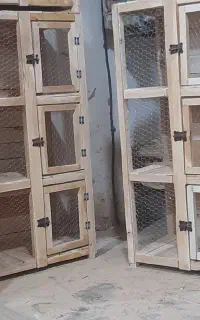 قفس یاجفت کنی کبوتر