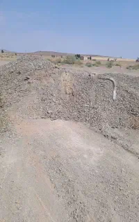 فروش کود مرغی