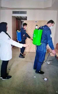 شرکت‌سمپاشی‌تضمینی‌ساس‌سوسک‌موش‌مورچه‌بیدموریانه