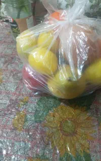 میوه مصنوعی تزئینی