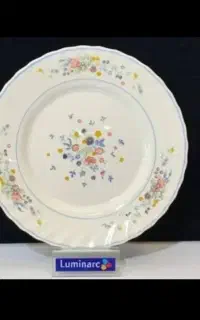 ظروف سرو پذیرایی