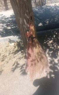 جارو محلی