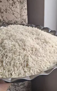 برنج طارم هاشمی دونوج