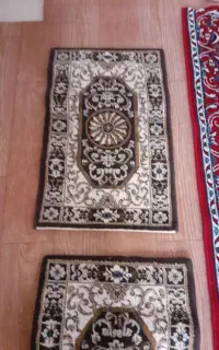 پادری وکناره ۶۵۰