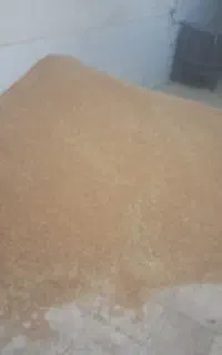 فروش گندم محلی