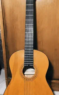 گیتار Fernando