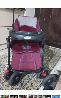 کالسکه خوشرنگ دلیجان